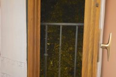 20231104_205543-scaled