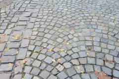 20231111_114314-scaled