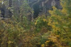 20231112_122004-scaled