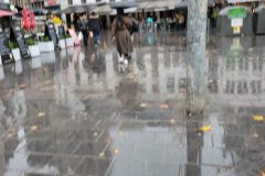 20231114_124450-scaled