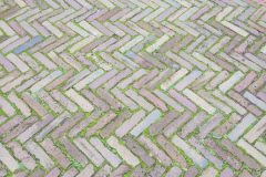 20231116_142425-scaled