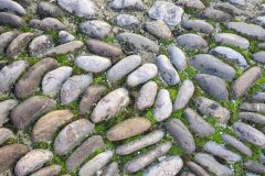 20231029_132138-scaled