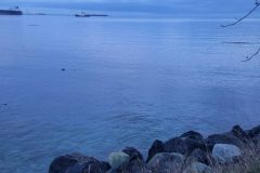 20240101_161927-scaled