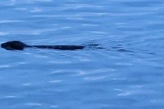 20240101_161936-scaled