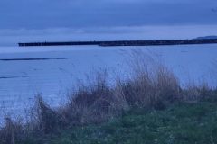 20240101_162107-scaled