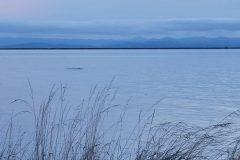 20240101_162110-scaled