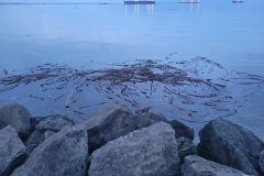20240101_163945-scaled