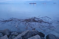 20240101_163949-scaled