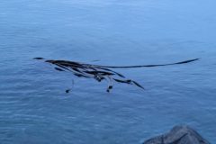20240101_164038-scaled