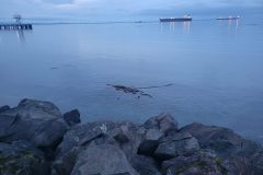 20240101_164043-scaled
