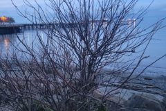 20240101_164349-scaled