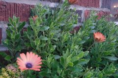 20240101_164630-scaled