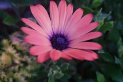 20240101_164638-scaled