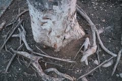 20240101_164702-scaled