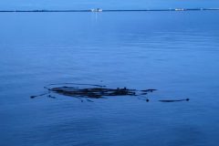 20240101_165002-scaled