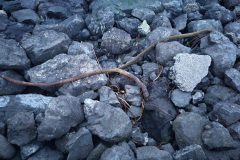 20240101_165024-scaled