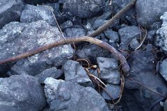 20240101_165037-scaled