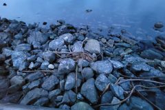 20240101_165103-scaled