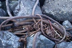 20240101_165110-scaled
