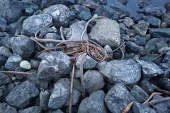 20240101_165118-scaled