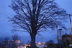 20240101_165759-scaled