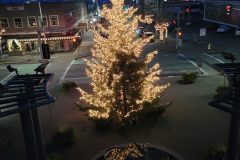 20240101_170540-scaled