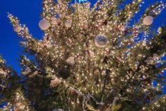 20240101_170644-scaled