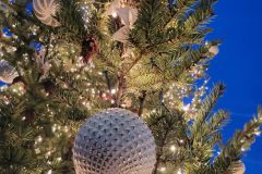 20240101_170651-scaled