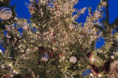 20240101_170655-scaled